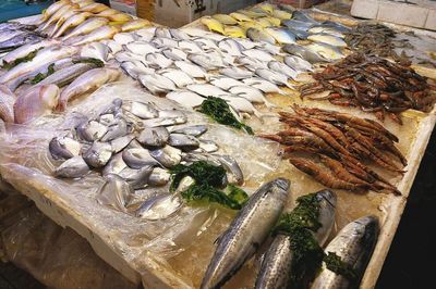 武夷山路海鮮市場 休漁期依舊琳瑯滿目，價(jià)格親民選擇多樣